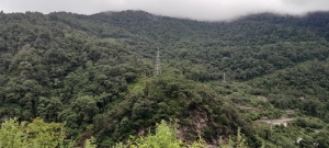 Right of Way (RoW) clering & Stringing of last span of conductor from Deas End to Tower to Termininating Structure in Pothead Completed by BPC on June 25, 2023